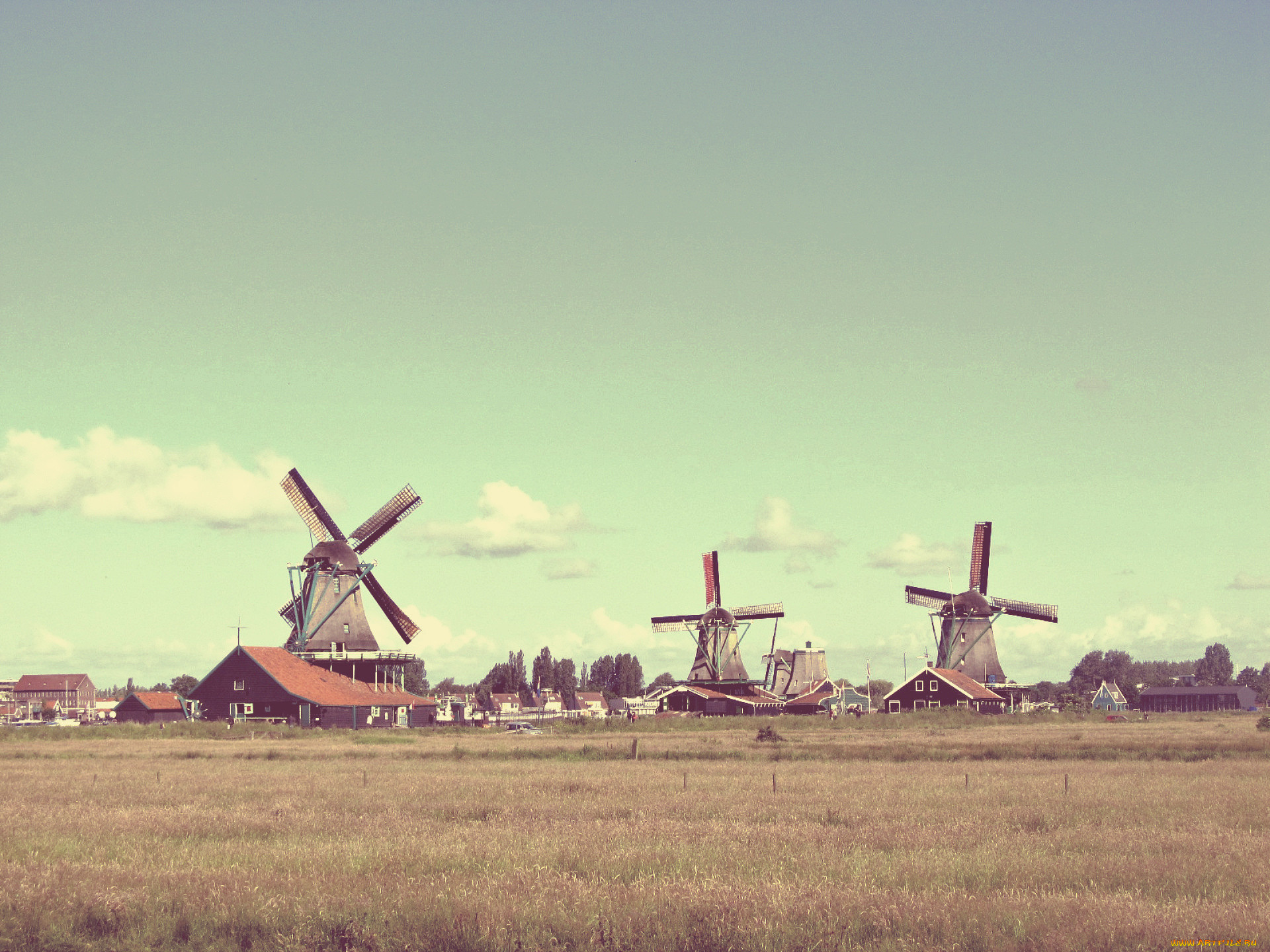 Фон мельница. Ветряные мельницы в Голландии в поле. Голландия деревня мельница. Нидерланды поля мельница. Деревенская мельница.